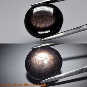 Сапфір Сапфир ^/--/^ Звездчатый сапфир черный 20.76 Ct  16 /--/ x /--/ 14,5 мм ^_^^^ Зірчастий сапфір чорний 20.76 Ct 16 /--/ x /--/ 14,5 мм - фото фото фото