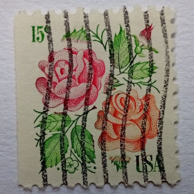 Північна Америка Северная Америка ^/--/^ США 1978 Розы, гашеная (I) ^_^^^ США 1978 Рози, гашена (I) - фото фото фото