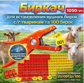 Інші товари для тварин Другие товары для животных ^/--/^ Биркач (кліщі) + 100 бирок.Клещі для встановлення бирок.Кліпсатор. Вушний бирковник ^_^^^ Биркач (клещи) + 100 бирок. Клещи для установления бирок. Клипсатор. Ушной бирковник - фото фото фото