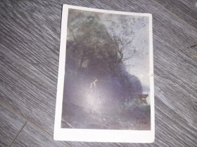 СРСР СССР ^/--/^ Открытка СССР  Коро  Пейзаж с коровой  1958 /--/ г. ^_^^^ Листівка СРСР Коро Пейзаж з корової 1958 /--/ р. - фото фото фото