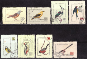 Фауна Фауна ^/--/^ Румыния. Птицы  (серия без 1 м.) 1959 г. ^_^^^ Румунія. Птахи 1959 - фото фото фото