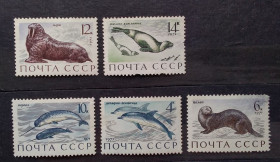 Фауна Фауна ^/--/^ СССР 1971 г -  Млекопитающие - обитатели морей и океанов, негаш ^_^^^ СРСР 1971 - ссавці - мешканці морів і океанів, негаш - фото фото фото
