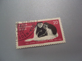 НДР, ФРН ГДР, ФРГ ^/--/^ марка Германия ГДР 1961 зоопарк 100 лет обезъяны животные гаш №1973 ^_^^^ марка Німеччина НДР 1961 зоопарк 100 років обез'яні тваринні гаш No /--/ 1973 - фото фото фото