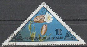 Флора Флора ^/--/^ Монголия Монголія 1973 флора ^_^^^ Монголия Монголия 1973 флора - фото фото фото