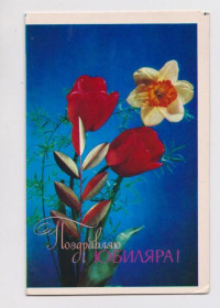 СРСР СССР ^/--/^ ПОЗДРАВЛЯЮ ЮБИЛЯРА  1974 г.  ЛИСЕЦКИЙ  двойная чистая  ^_^^^ Вітаю ЮБІЛЯРА 1974 р. Лисецька подвійна чиста - фото фото фото