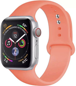 Браслети, ремінці Браслеты, ремешки ^/--/^ Силиконовый браслет для Apple Watch 38 /--/ mm / 40 /--/ mm #27 ^_^^^ Силіконовий браслет для Apple Watch 38 /--/ mm / 40 /--/ mm #27 - фото фото фото