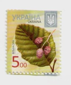 Після  року После  года ^/--/^ Украина Почтовая марка 5 грн. Вільха сіра 2012 (гаш.), Ольха серая, растения, флора, поштова марка ^_^^^ Украина Почтовая марка 5 грн. Ольхая серая 2012 (гаш.), Ольха серая, растения, флора, почтовая марка - фото фото фото