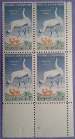 Фауна Фауна ^/--/^ США 1957 фауна птицы Mi 721 MNH квартблок ^_^^^ 1957 — фауна птаха Mi 721 MNH квартблок - фото фото фото