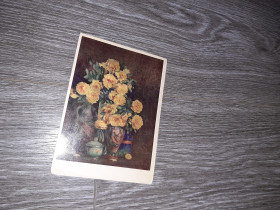 СРСР СССР ^/--/^ Открытка СССР цветы  1966 /--/ г. ^_^^^ Листівка СРСР квіти 1966 /--/ р. - фото фото фото