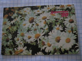 Календарі Календари ^/--/^ Календарик. &amp;quot;Весiльне страхування&amp;quot; 1990 ^_^^^ Календарик. &amp;quot;Весільне страхування &amp;quot; 1990 - фото фото фото