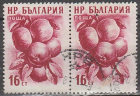Балканський півострів Балканский полуостров ^/--/^ Болгария Болгарія 1956 флора фрукты пара ^_^^^ Болгария Болгария 1956 флора фрукты пара - фото фото фото