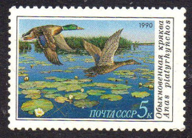 СРСР - СССР - ^/--/^ СРСР 1990 - Качки ** ^_^^^ СРСР 1990 — Качки - фото фото фото