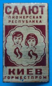 Знаки товариств і організацій Знаки обществ и организаций ^/--/^ пионерская республика Салют горместпром Киев ^_^^^ піонерська республіка Салют горместпром Київ - фото фото фото