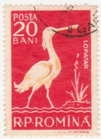 Румунія Румыния ^/--/^ Румыния 1957 г №  1694 гашеная ^_^^^ Румунія 1957 р. No 1694 гашена - фото фото фото