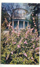 СРСР СССР ^/--/^ СССР 1970 открытка Киев Ротонда Кропивницкий ^_^^^ СРСР 1970 листівка Київ Ротонда Кропивницький - фото фото фото
