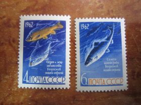 СРСР - СССР - ^/--/^ СССР. 1962.  28 АВГУСТА.  РЫБЫ   ** ^_^^^ СРСР. 1962. 28 серпня. Риби ** - фото фото фото