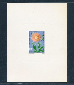 Інше Другое ^/--/^ Камерун Флора Цветы Люкс-блок 1971 ^_^^^ Камерун Флора Квіти Люкс-блок 1971 - фото фото фото