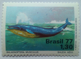 Південна Америка Южная Америка ^/--/^ Бразилия 1977 Фауна, кит, MNH  (КЦ=5 евро) ^_^^^ Бразилія 1977 Фауна, кит, MNH (КЦ = 5 євро) - фото фото фото