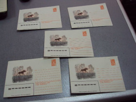 СРСР СССР ^/--/^ конверт лось 1982 куприянов лот 5 шт №11204 ^_^^^ конверт лось 1982 купріянів лот 5 шт No /--/ 11204 - фото фото фото