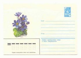 СРСР СССР ^/--/^ СССР 1982   Конверт  Цветы Куртенко ^_^^^ СРСР 1982 Конверт Квіти Куртенко - фото фото фото