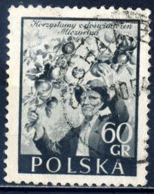 Історія та особистості История и личности ^/--/^ Польша. Мичурин 1954 г. ^_^^^ Польща. Мічурін 1954 - фото фото фото