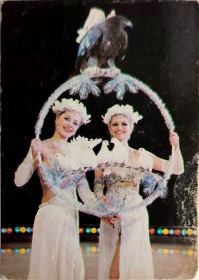 Календарі Календари ^/--/^ Календарик 1988 /--/ г Союзрекламкультура Советский цирк Артисты Птицы СССР ^_^^^ Радянський цирк 1988 Артисти Птахи СРСР - фото фото фото