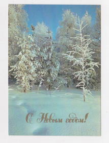 СРСР СССР ^/--/^ З НОВИМ РОКОМ - С НОВЫМ ГОДОМ =  1989 р. = БУРКИН = чиста   &amp; ^_^^^ З НОВИМ РОКОМ - З НОВИМ РОКОМ = 1989 р. = БУРКІН = чиста &amp; - фото фото фото