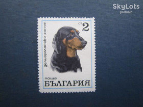 Фауна Фауна ^/--/^ Марка Болгарія 1970 фауна собака Болгарський лудогорський гончак MNH ^_^^^ Марка Болгария 1970 фауна собака Болгарский лудогорский гончак MNH - фото фото фото