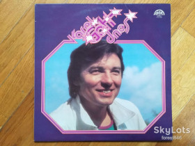 Платівки Пластинки ^/--/^ Karel Gott dnes  (лам. конв.)  (2)-Ex.+, Чехословакия ^_^^^ Karel Gott dnes (лам. конв.) (2)-Ex.+, Чехословаччина - фото фото фото