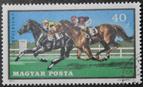 Інше Другое ^/--/^ Венгрия Спорт Скачки Лошадь 1971 ^_^^^ Угорщина Спорт Скачки Кінь 1971 - фото фото фото