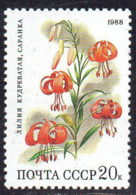 СРСР - СССР - ^/--/^ СРСР 1988 - Квіти широколистяних лісів ** ^_^^^ СССР 1988 — Цветы широколиственных лесов ** - фото фото фото