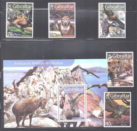Фауна Фауна ^/--/^ Фауна  Гибралтар 2007 г MNH - блок + марки - ^_^^^ Фауна Гібралтар 2007 MNH - блок + марки - фото фото фото