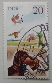 НДР, ФРН ГДР, ФРГ ^/--/^ ГДР 1977 Охота, собака, утки, гашеная ^_^^^ НДР 1977 Полювання, собака, качки, гашена - фото фото фото