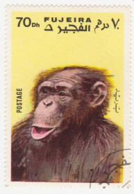 ОАЕ ОАЭ ^/--/^ Арабские Эмираты  (Фуджейра )  1971  г. № 793 гашеная ^_^^^ Арабські Емірати (Фуджейра) 1971 р. No 793 гашена - фото фото фото