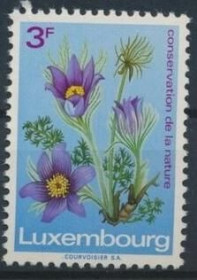 Інше Другое ^/--/^ Люксембург Флора Цветы 1970 ^_^^^ Люксембург Флора Квіти 1970 - фото фото фото