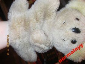 М'які іграшки Мягкие игрушки ^/--/^ коала кукольный театр мишка мягкая игрушка ^_^^^ Коала ляльковий театр ведмедика м'яка іграшка - фото фото фото