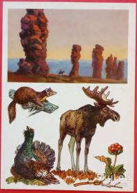 СРСР СССР ^/--/^ СССР 1977 Печеро-Илычский заповедник флора фауна ПК ^_^^^ СРСР 1977 Печеро-Іличський заповідник флора фауна ПК - фото фото фото