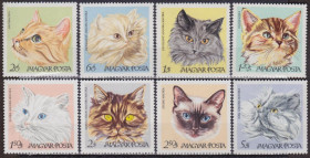 Угорщина Венгрия ^/--/^ Венгрия 1968 КОТЫ КОШКИ КОШАЧЬИ МЛЕКОПИТАЮЩИЕ ЖИВОТНЫЕ ФАУНА ПРИРОДА 8 /--/ м** Mi.2387-2394 /--/ A EUR 8.50 ^_^^^ Угорщина 1968 КОТИ КОШКИ КОШАЧЧІ МЛЕКОПІТНІ ФАУНА ПРИРОДУ 8 /--/ М** Mi.2387-2394 /--/ A EUR 8.50 - фото фото фото