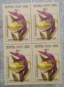 Флора Флора ^/--/^ СССР 1991 г - Орхидеи,   Башмачок настоящий, квартблок, негаш ^_^^^ СРСР 1991 р - Орхідеї, Башмачок справжній, квартблок, негаш - фото фото фото