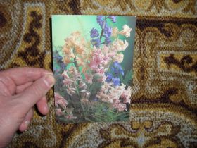 СРСР СССР ^/--/^ 8 марта Фото П.Костенко 1987 /--/ г. ^_^^^ 8 березня Фото П.Костенко 1987 /--/ р. - фото фото фото