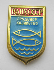 Пам'ятні і ювілейні Памятные и юбилейные ^/--/^ ВДНХ СССР - ПРУДНОЕ ХОЗЯЙСТВО = значок СРСР ^_^^^ ВДНГ СРСР - ПРУДНЕ ХОЗЯЙСТВО = значок СРСР - фото фото фото