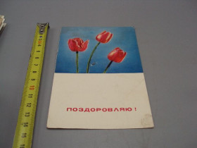 СРСР СССР ^/--/^ Открытка Поздравляю! цветы тюльпаны фото Б. Минделя 1969 год позпись партийная огранизация №18008 ^_^^^ Вітаю! квіти тюльпани фото Б. Мінделя 1969 рік позпис партійна огранізація No /--/ 18008 - фото фото фото