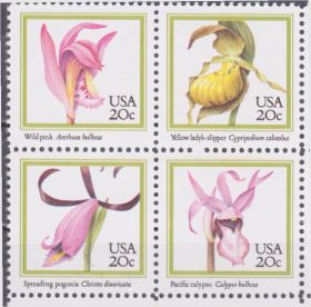 Північна Америка Северная Америка ^/--/^ США 1984 ФЛОРА ОРХИДЕИ ЦВЕТЫ РАСТЕНИЯ ЭНДЕМИКИ БОТАНИКА НАУКА ДИКАЯ ПРИРОДА Серия Mi.1683-1686** ^_^^^ США 1984 ФЛОРА ОРХІДЕЇ ЦВЕТИ РАСТІННЯ ЕНДЕМІКИ БОТАНІКА НАУКА ДІКА ПРИРОДУ Серія Mi.1683-1686** - фото фото фото