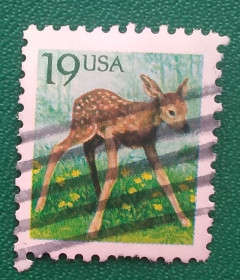 Фауна Фауна ^/--/^ США 1991 г - Белохвостый олень  (Odocoileus virginianus), гаш ^_^^^ 1991 — Білохвостий олень (Odocoileus virginianus), гаш - фото фото фото