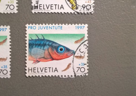 Фауна Фауна ^/--/^ Швейцария Фауна Рыбы 1997 ^_^^^ Швейцарія Фауна Риби 1997 - фото фото фото