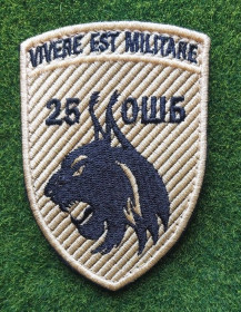 Інше Другое ^/--/^ Шеврон 25 ОШБ Vivere Est Militare № 538 ^_^^^ Шеврон 25 ОШБ Vivere Est Militare No 538 - фото фото фото