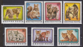 Угорщина Венгрия ^/--/^ Венгрия 1976 ДИКИЕ ЖИВОТНЫЕ ЗВЕРИ ХИЩНИКИ ДЕТЁНЫШИ МЛЕКОПИТАЮЩИЕ ФАУНА ПРИРОДА 7 /--/ м**MNH Mi.3098-3104 /--/ A ^_^^^ Угорщина 1976 ДІКІ ТВОТНІ ЗВІРІ ХИЩНИКИ ДИТЯЧІ МЛЕКОПІТНІ ФАУНА ПРИРОДУ 7 /--/ М**MNH Mi.3098-3104 /--/ A - фото фото фото