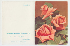 СРСР СССР ^/--/^ Цветы телеграмма 1983 Р /--/ 11 ^_^^^ Квіти телеграма 1983 Р /--/ 11 - фото фото фото