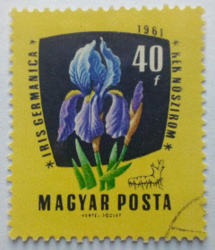 Угорщина Венгрия ^/--/^ Венгрия 1961 Лекарственные растения, ирис, 40 /--/ F, гашеная ^_^^^ Угорщина 1961 Лікарські рослини, ірис, 40 /--/ F, гашена - фото фото фото