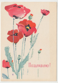 СРСР СССР ^/--/^ Поздравляю 1963 Дерягин Маки Цветы P /--/ 11 /--/ B ^_^^^ Вітаю 1963 Дерягін Макі Квіти P /--/ 11 /--/ B - фото фото фото